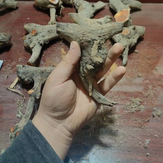 浪***云大果紫檀（缅甸花梨）