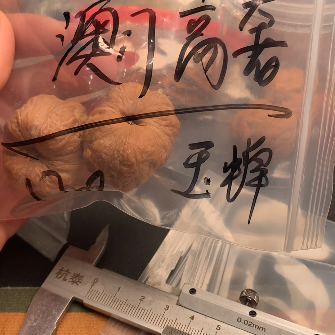 文玩核桃把件?****定玉蝉