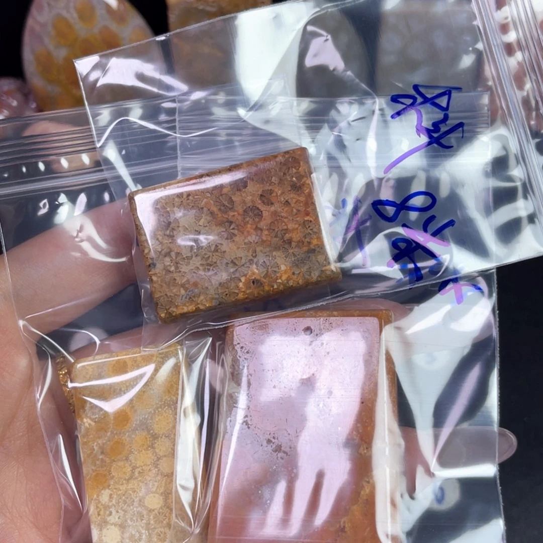 硅化珊瑚（珊瑚玉）吊坠未镶嵌