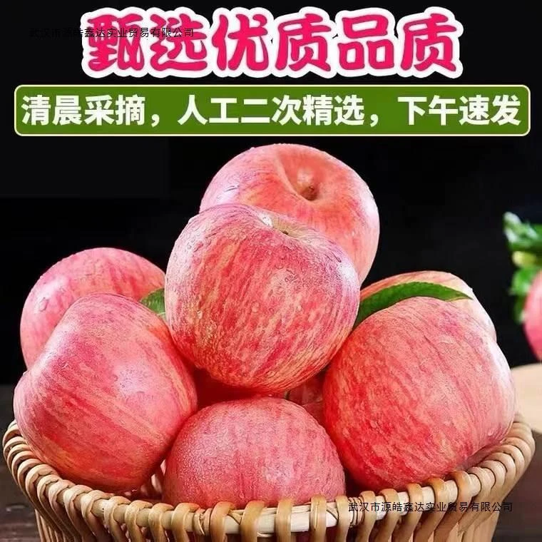 【产地直销】洛川红富士不挑不选通货特价大甩卖冰糖心脆甜9斤
