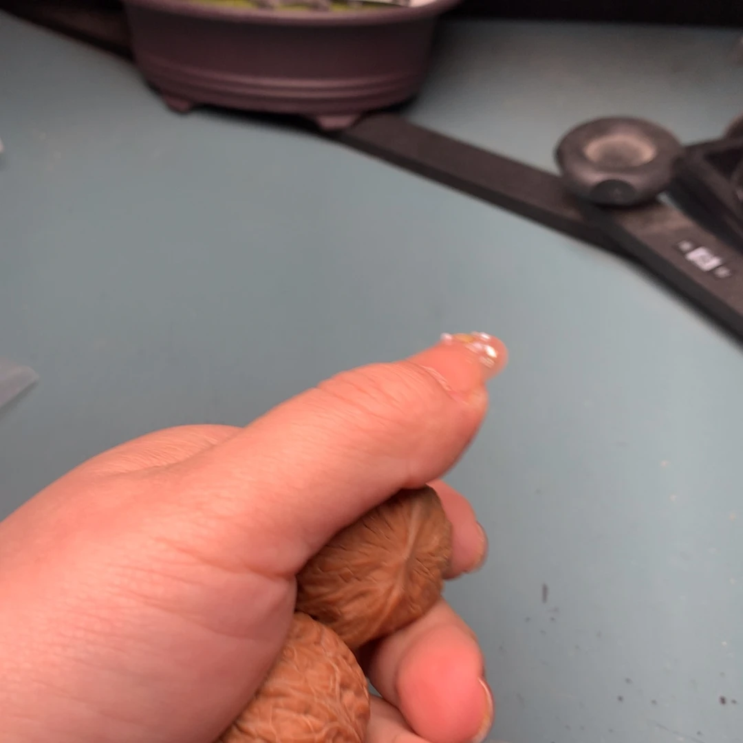 文玩核桃把件全品铁锤3637