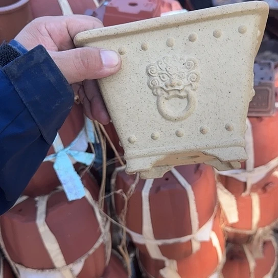 这一期太有意思咯好棒哦真的超级不错了