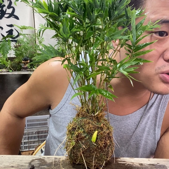 无花朵退款拉黑拉黑20