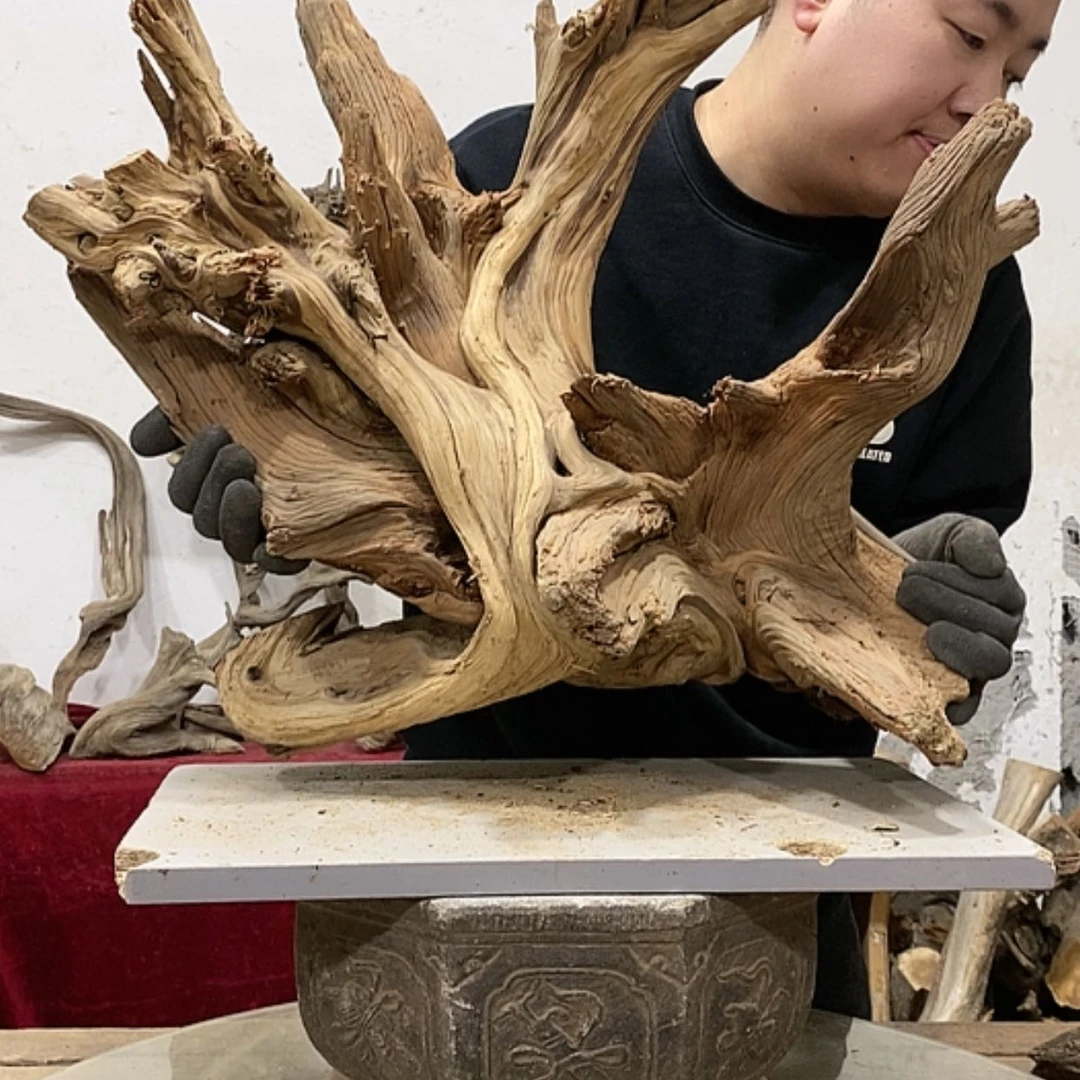 【闪购商品】柏木宽****心我们都是好孩子