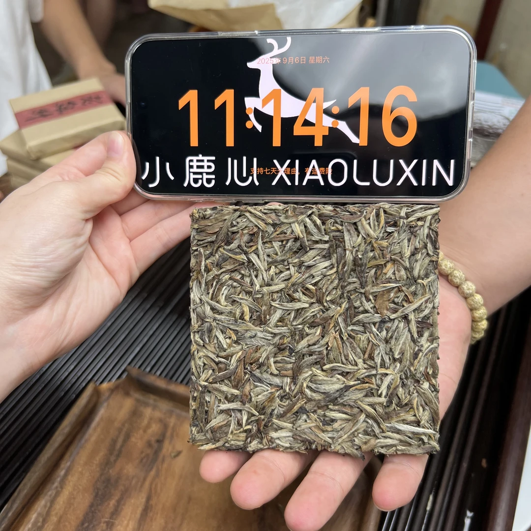 老银针砖 小鹿收茶 砖茶 福鼎白茶 9月6