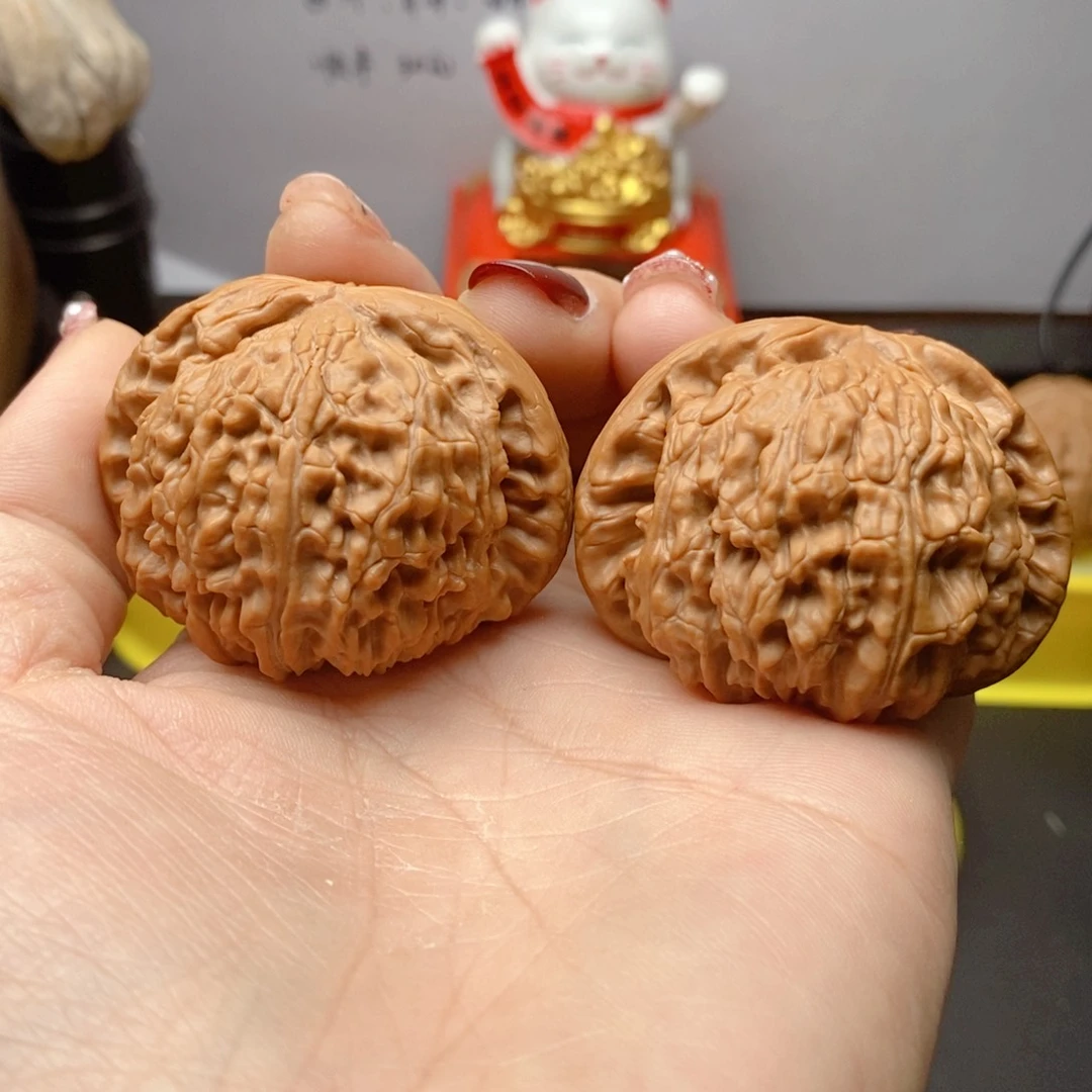 46白狮子，数量有限！