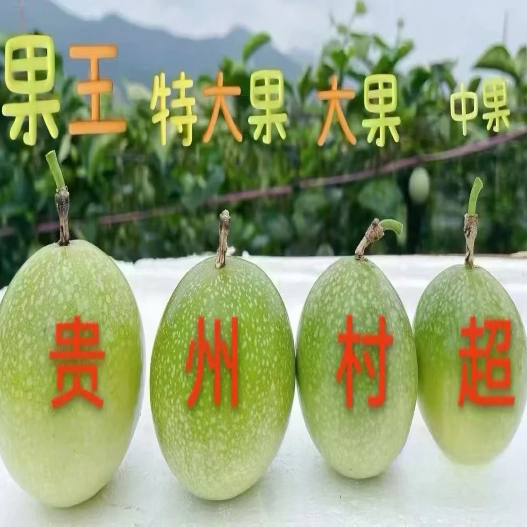 榕江百香果新鲜现摘当季水果香甜多汁营养丰富