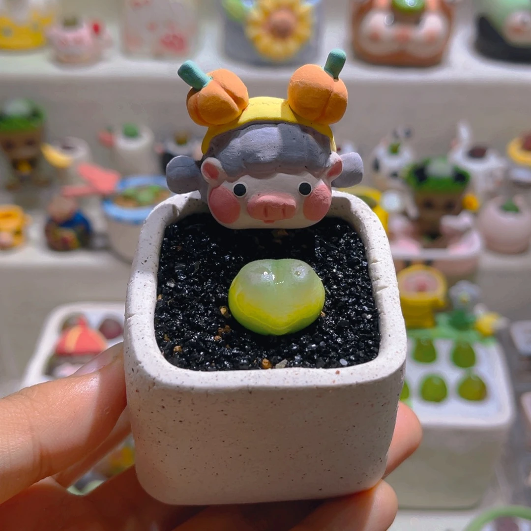 012拉登1.9厘米带盆土一套158