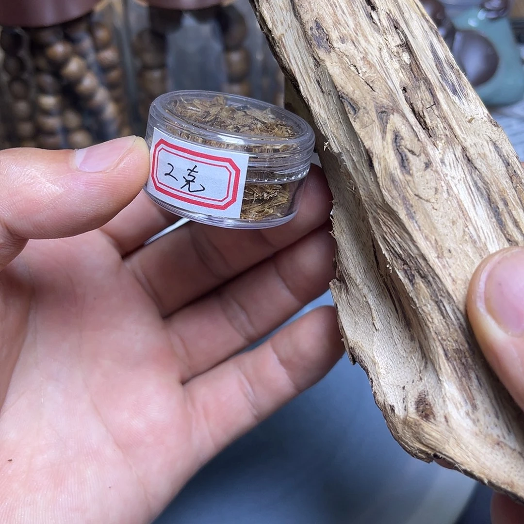 香榧木海南种植糖结金丝绿奇2克