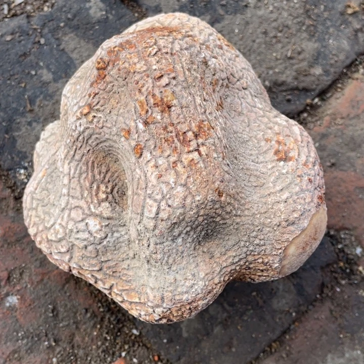 称***意有机玻璃奇石怪石摆件