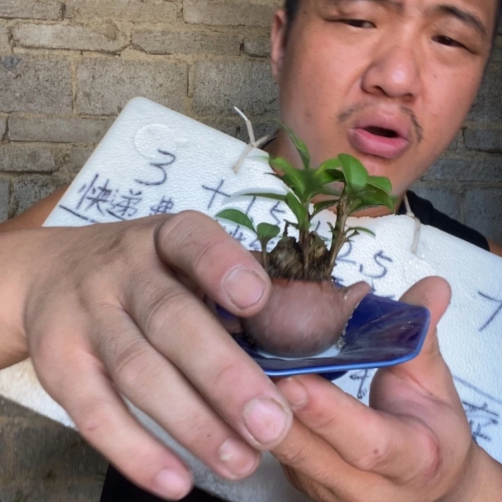 退款拉黑一物一拍68