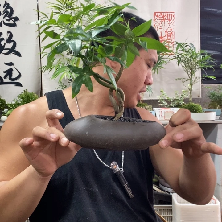 无花朵退款拉黑拉黑215