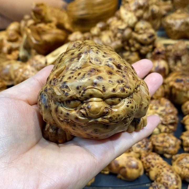 柏木（崖柏）崖柏888