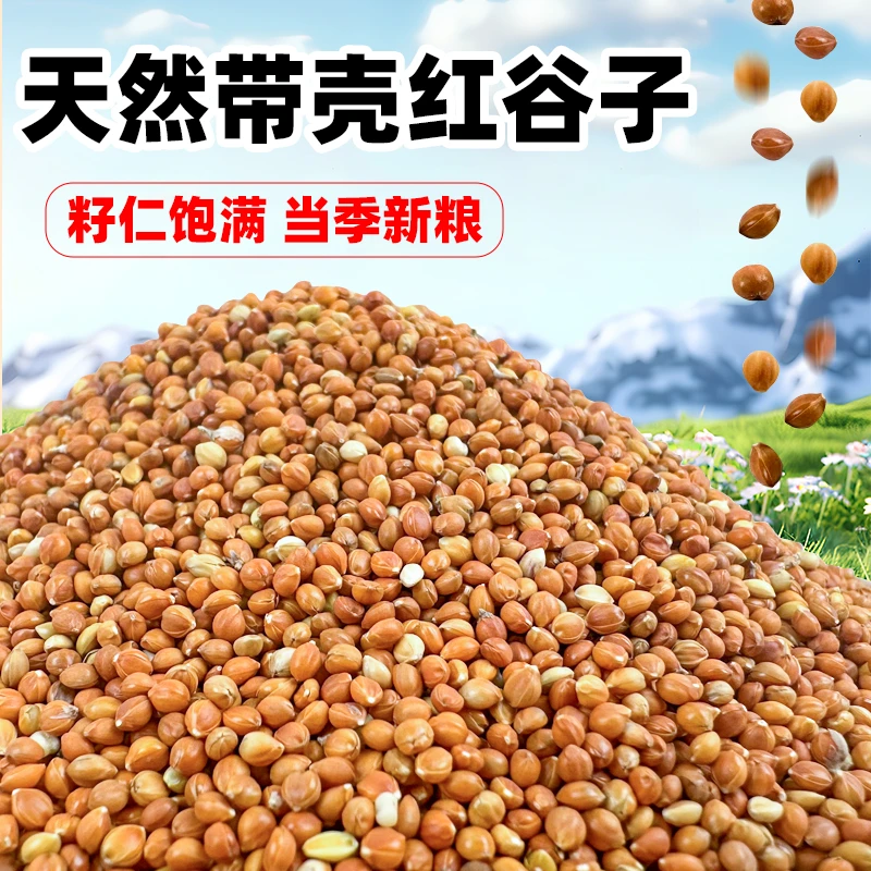 鸟食带壳红谷子增亮毛色鸟粮虎皮牡丹玄凤大颗粒中小型鹦鹉粮食物