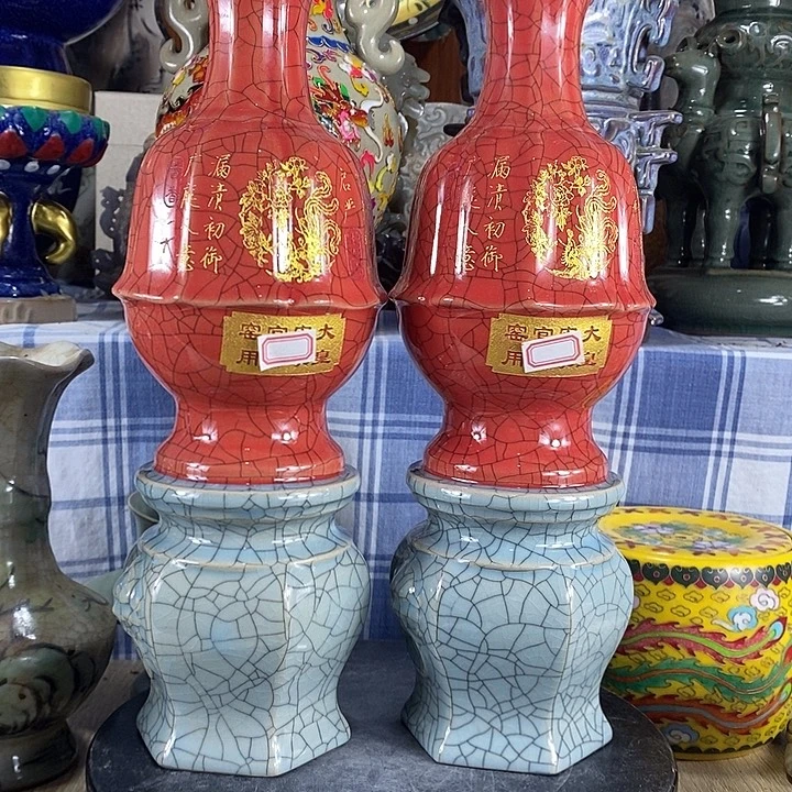 陶泽如花儿盛开了