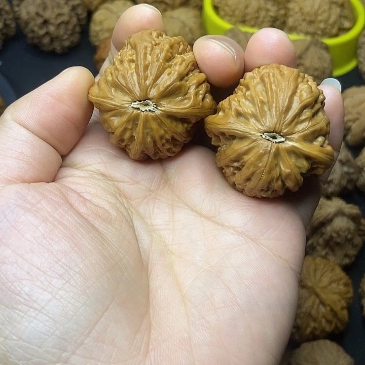 壳***文玩核桃    铁锤妹妹