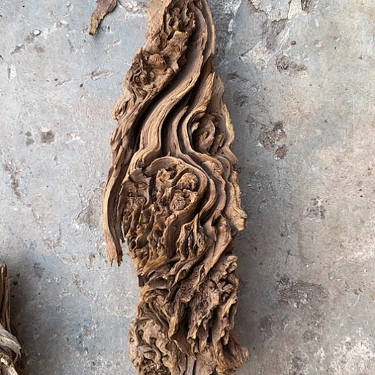 痴**改紫砂噜啦啦啦啦啦啦