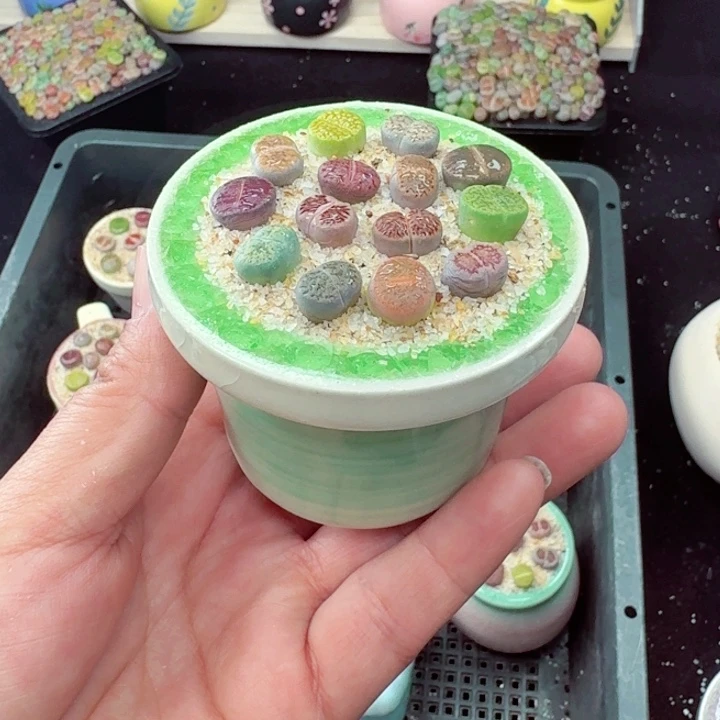 591零下地区记得拍保温箱