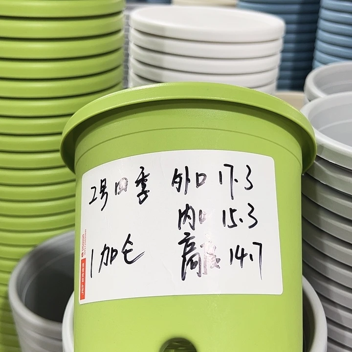 特价2号口17高14果绿10只带托