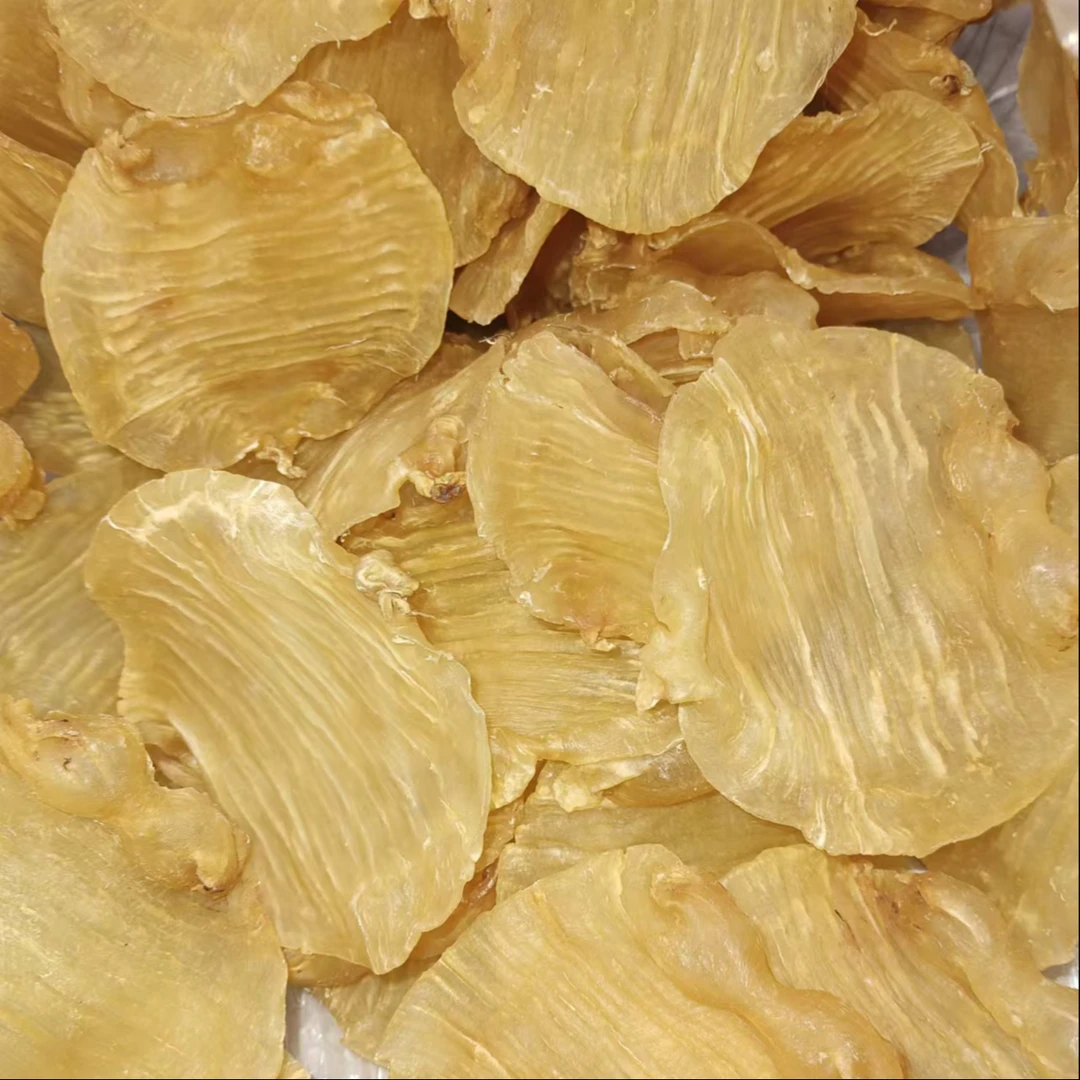 （鱼多多）干货湛江赤嘴胶