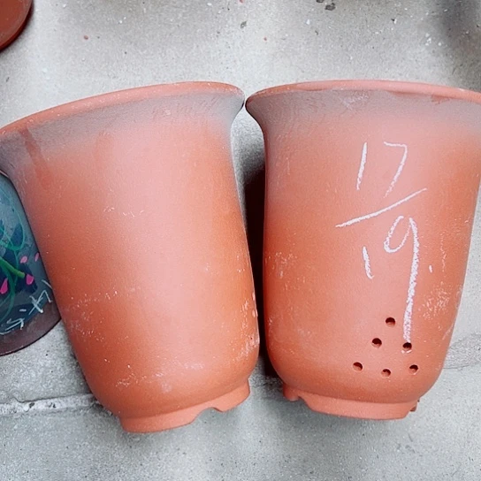 红陶紫砂紫砂z s x