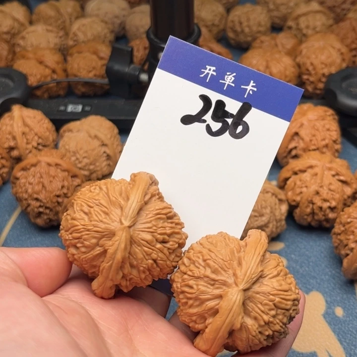 文玩核桃吊坠白狮子 46精修 256