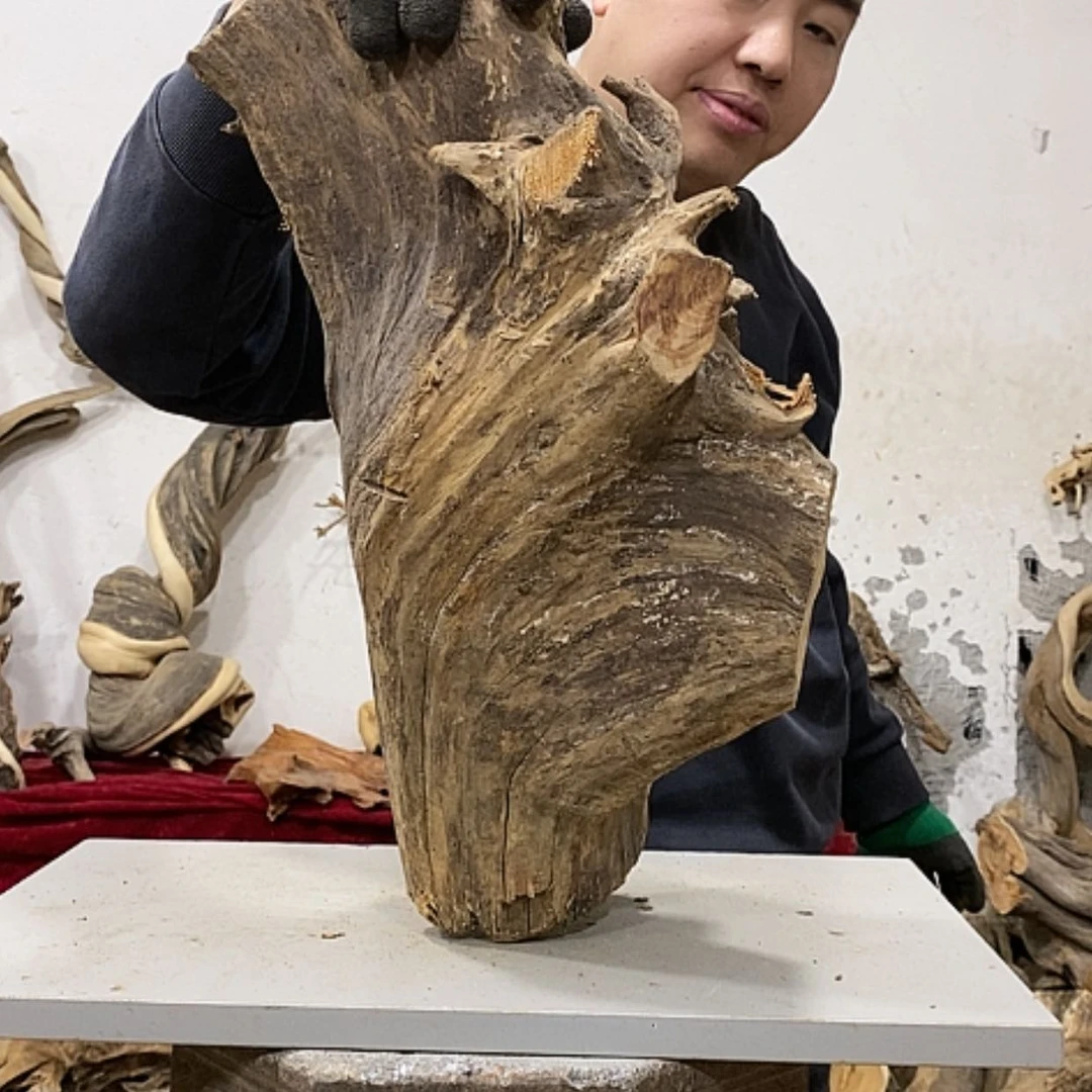 【闪购商品】柏木正****馆我们都是好孩子