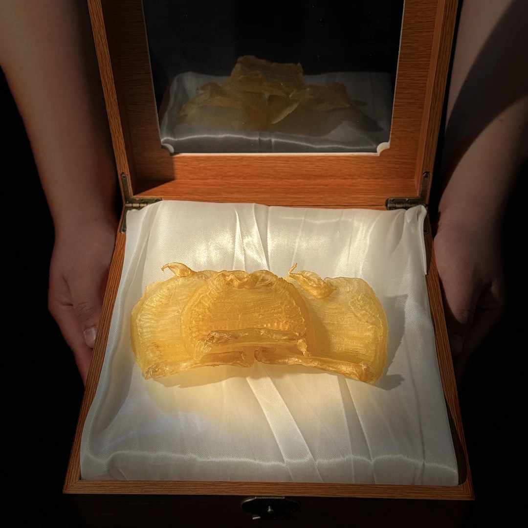 【胶源日记精选】广东17头台山赤嘴母胶滋补食用鱼胶干货