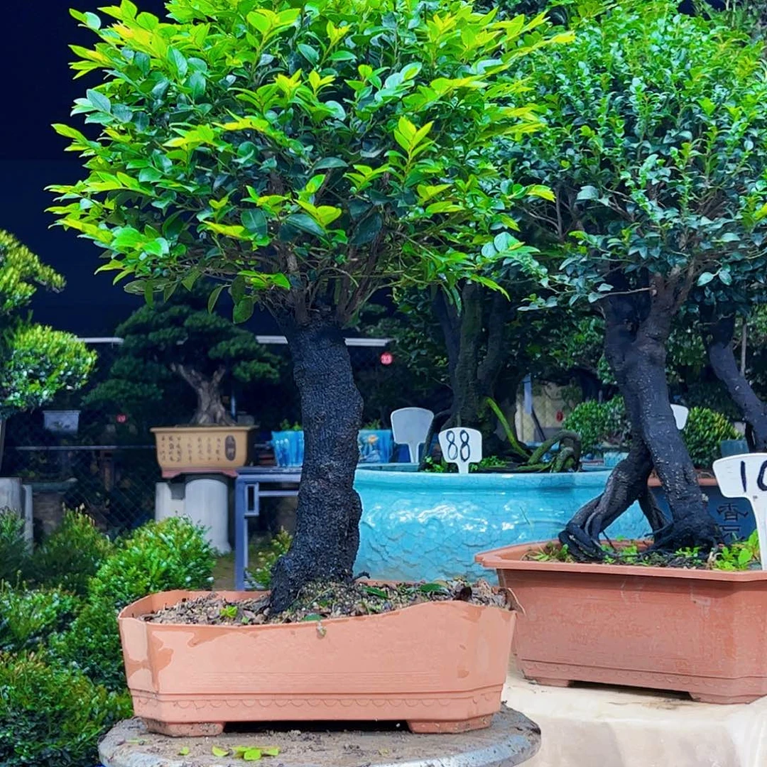 以实际为准用****8