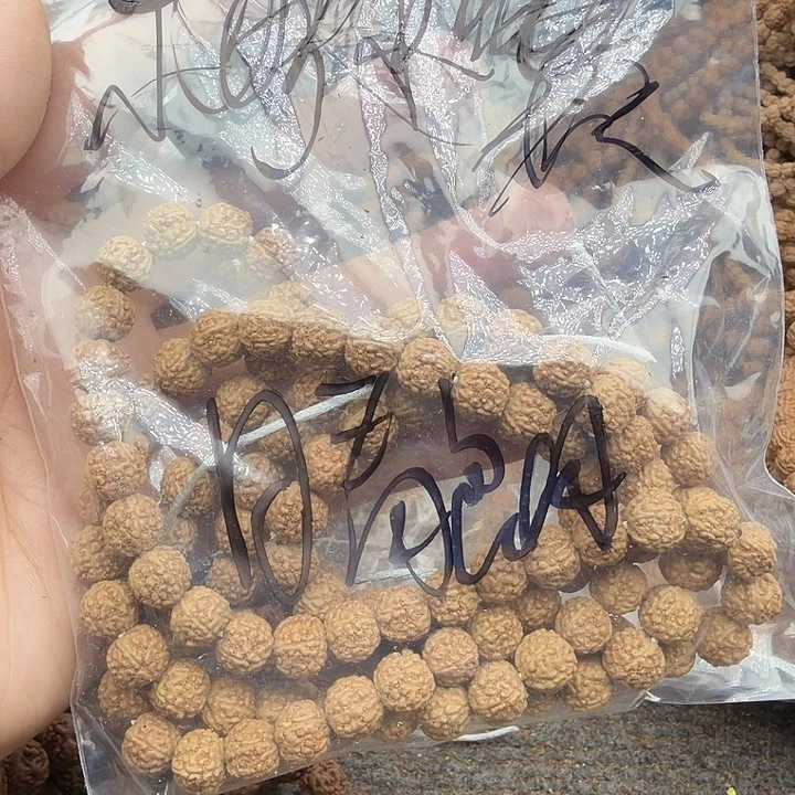 *****金刚菩提吊坠谢谢