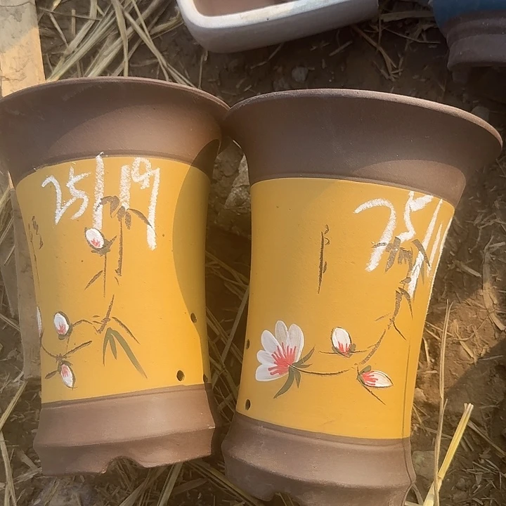 紫砂杯是真的绝佳呢还是有