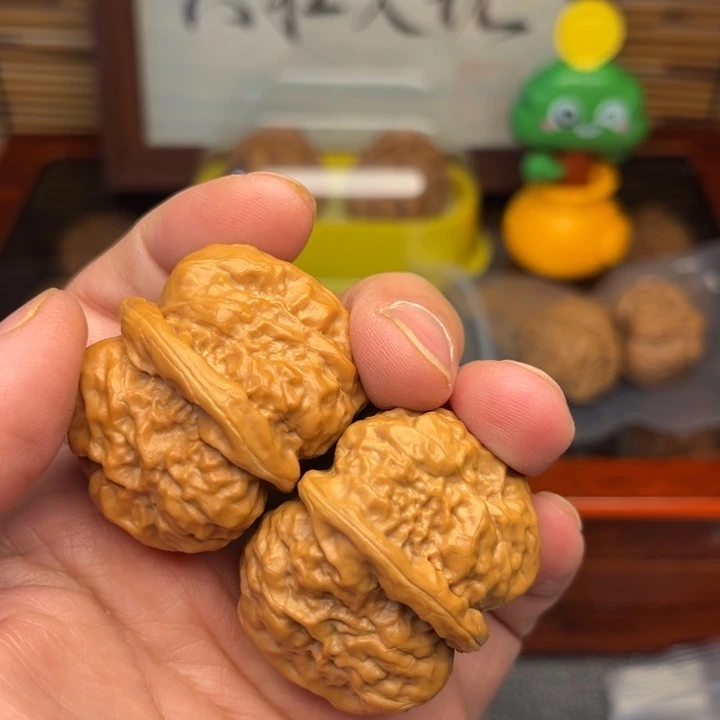 魚***肉福利单福利单福利单