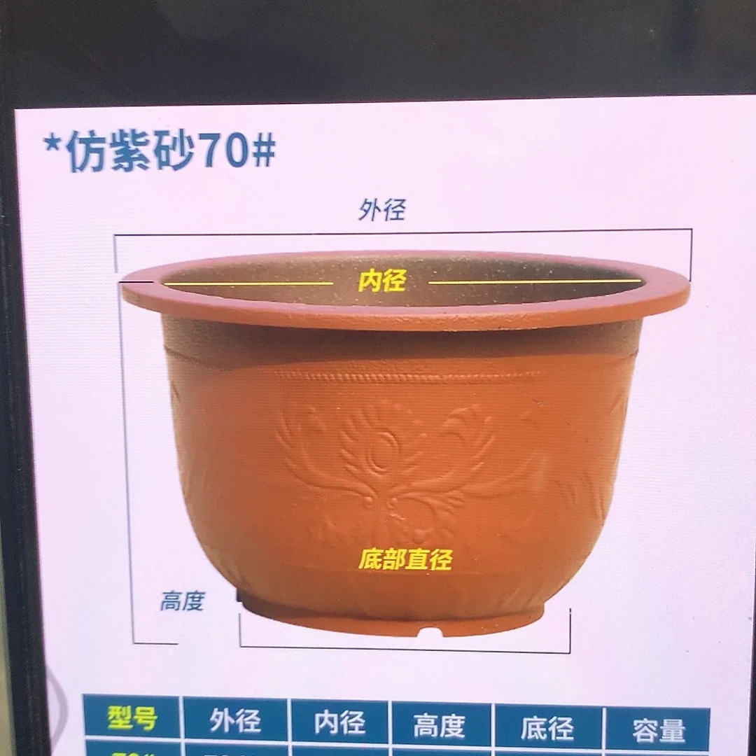 复合一*年花盆花开了一