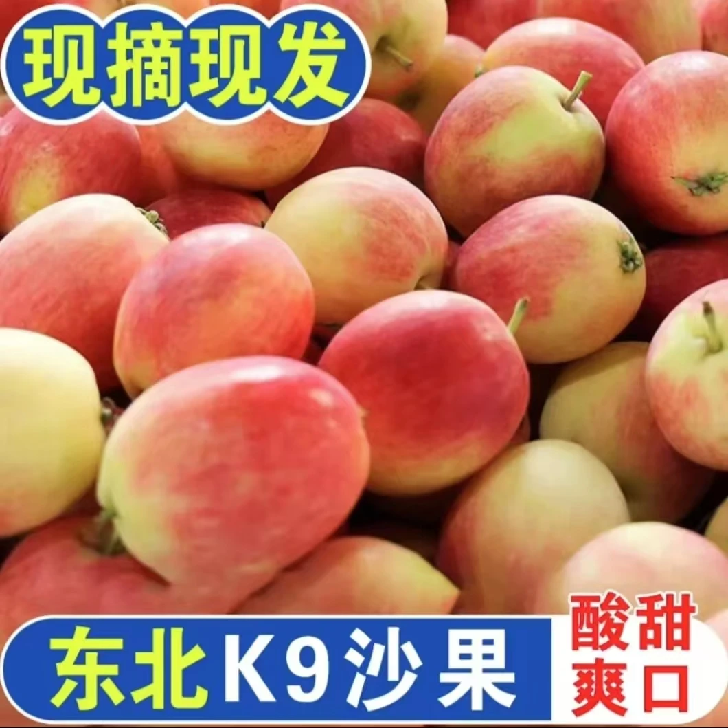 25年东北铁岭k9沙果（酸的哦）