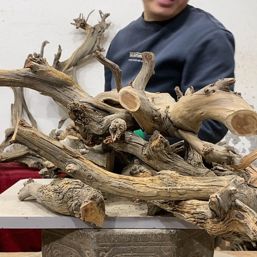 【闪购商品】柏木隔****咱我们都是好孩子