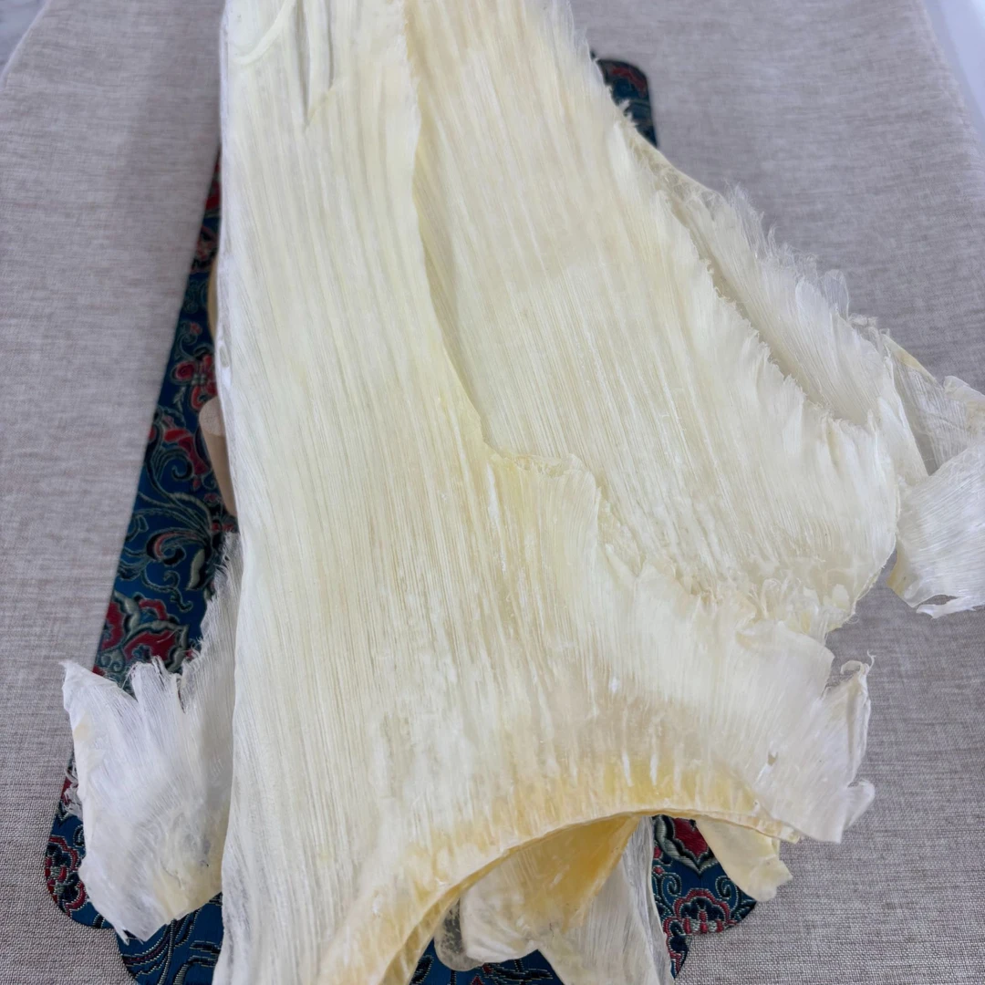 靓货新货 大片翅鱼 好正