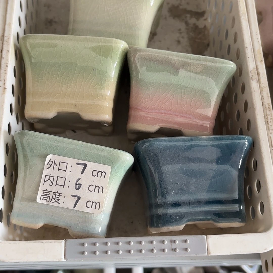 量货/6口高5深浅搭配发6
