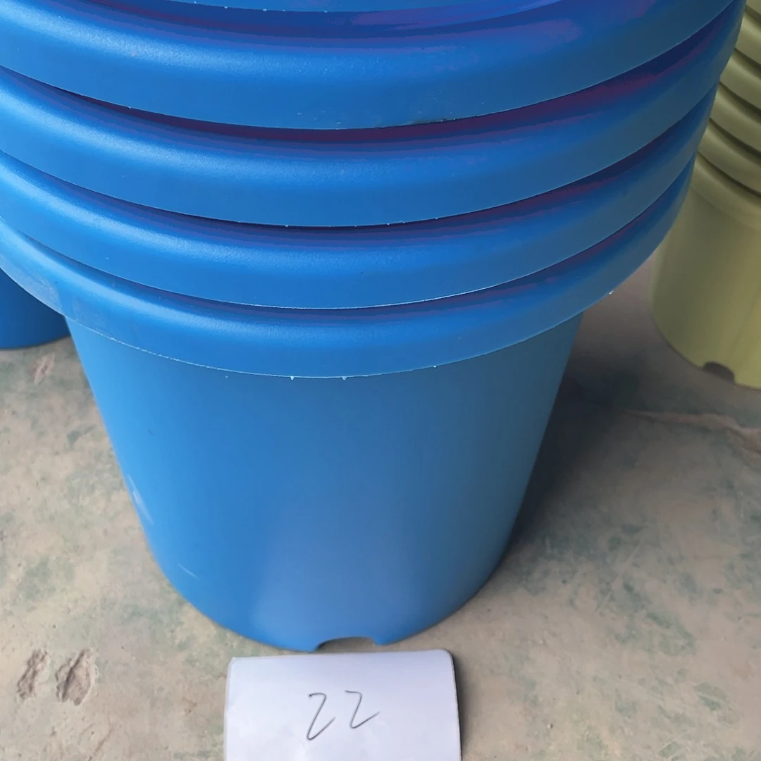 编号是22号的22号的