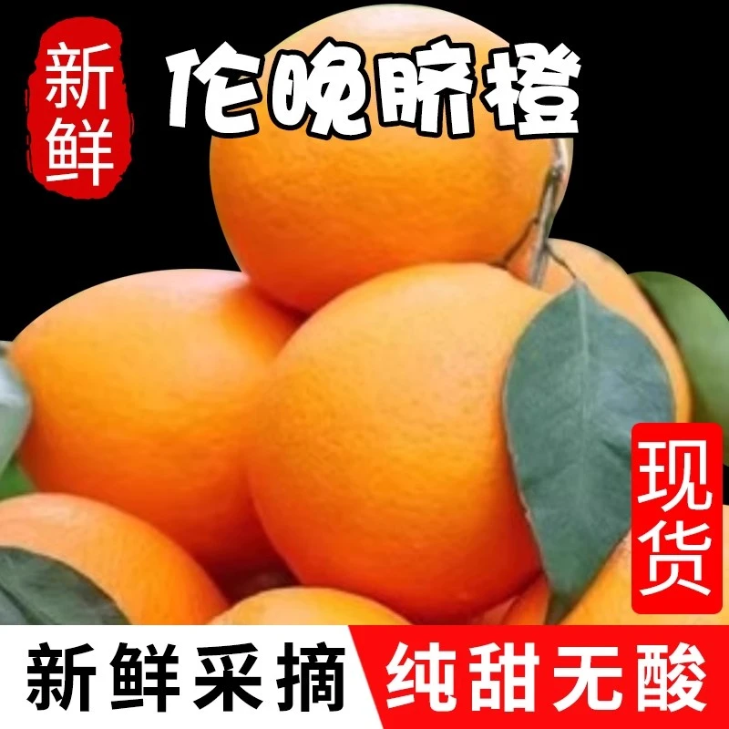 正宗伦晚脐橙湖北宜昌春橙子新鲜水果当季现摘手剥橙甜橙