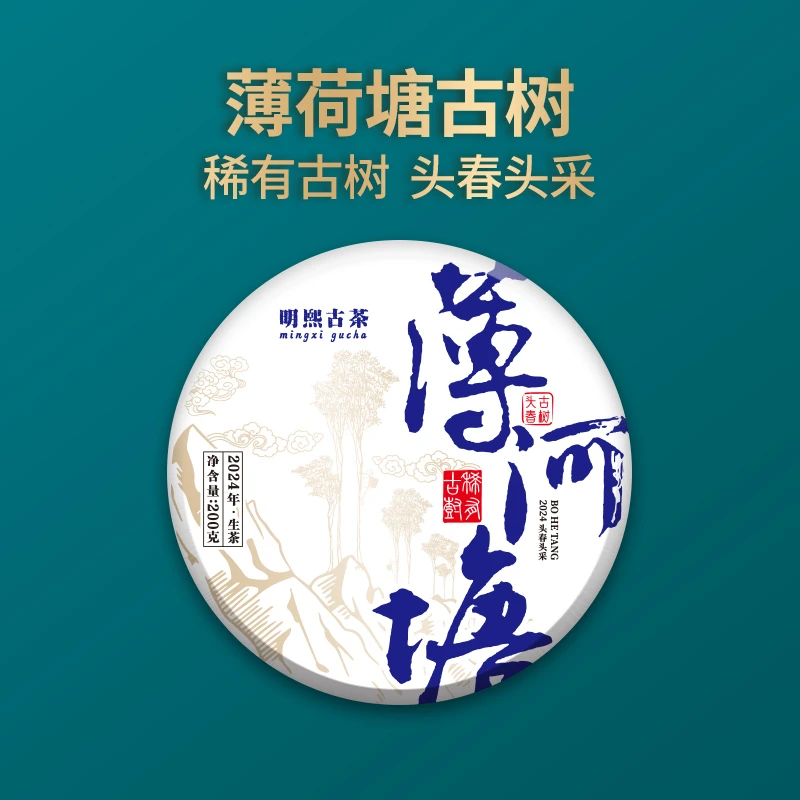 【明熙古茶】（907）2024年薄荷塘头春古树普洱生茶200克