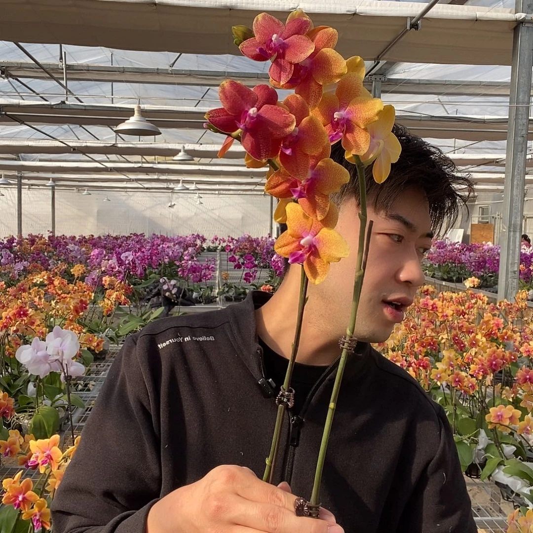 完全开放相恋2.8带新花剑