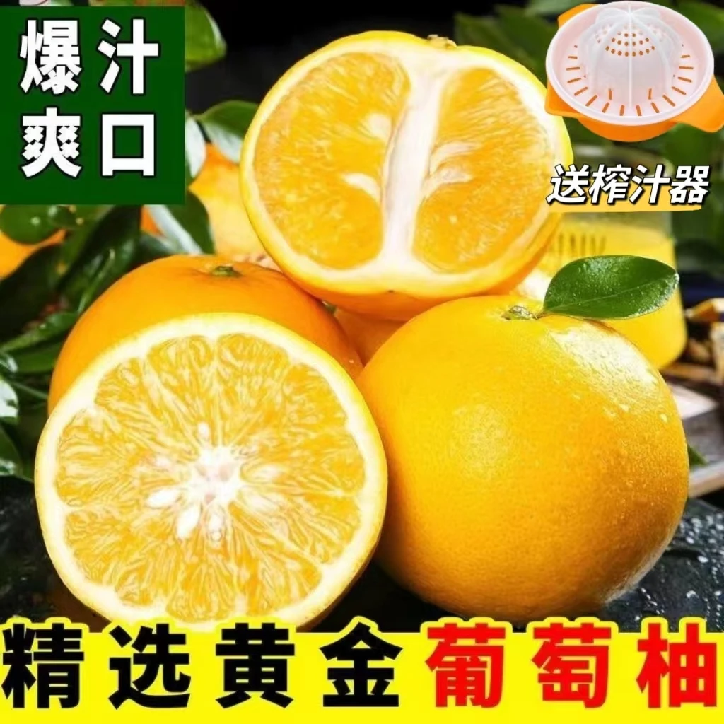 【2025头茬果】福建平和爆汁黄金葡萄柚柚子清甜水果皮薄带箱9斤装