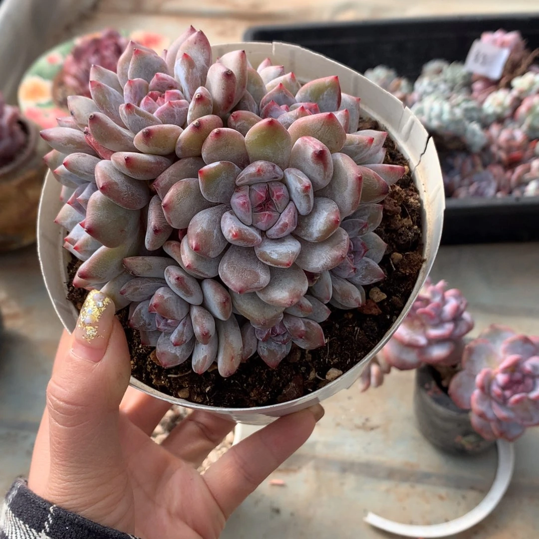 10透哈哈哈哈哈哈哈哈哈哈哈