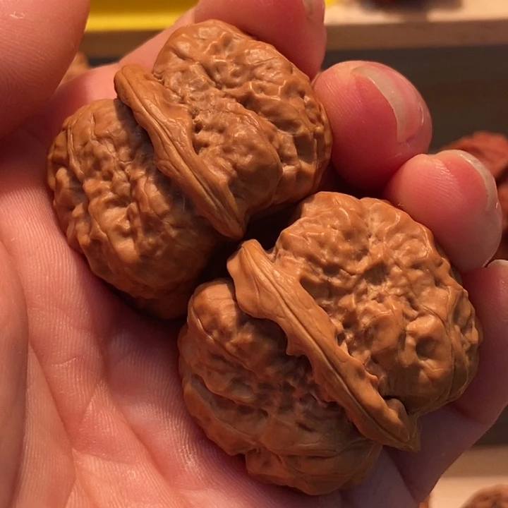 贱*子官方网站发布消息显示