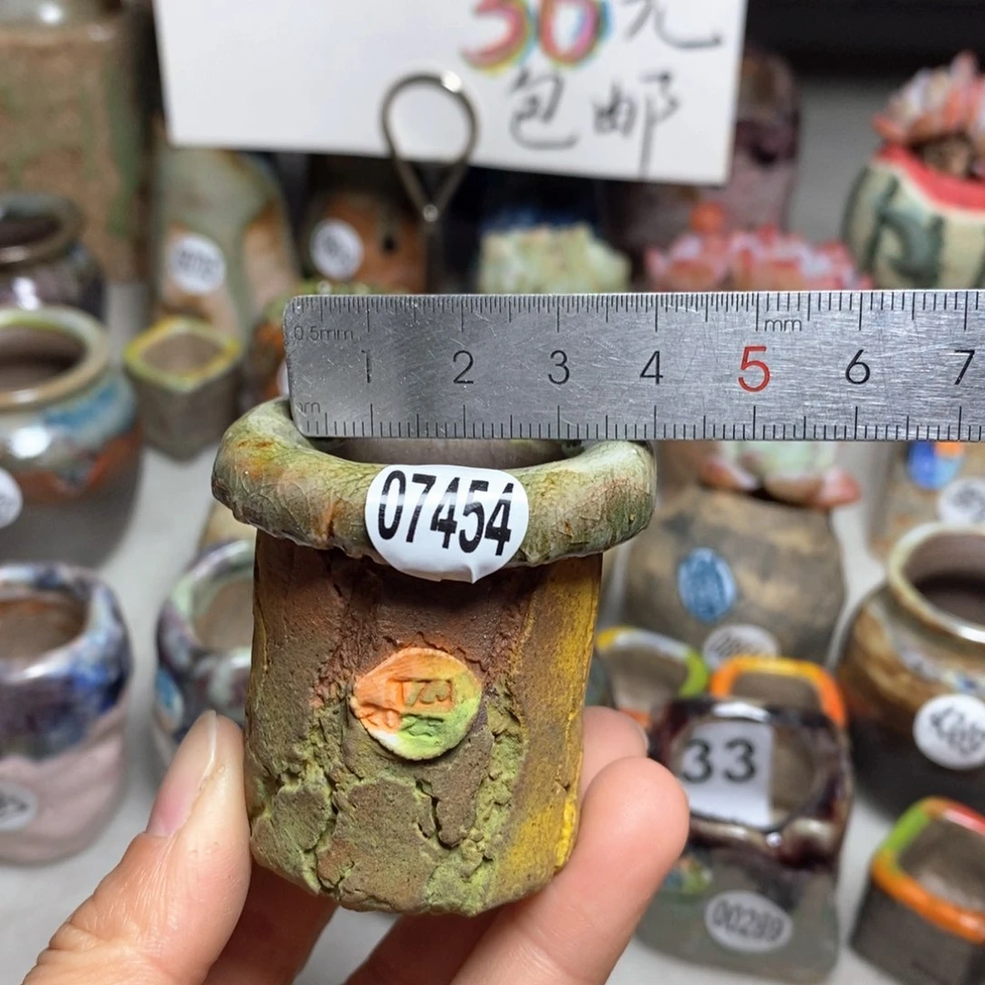 花盆拍3送一个小礼物