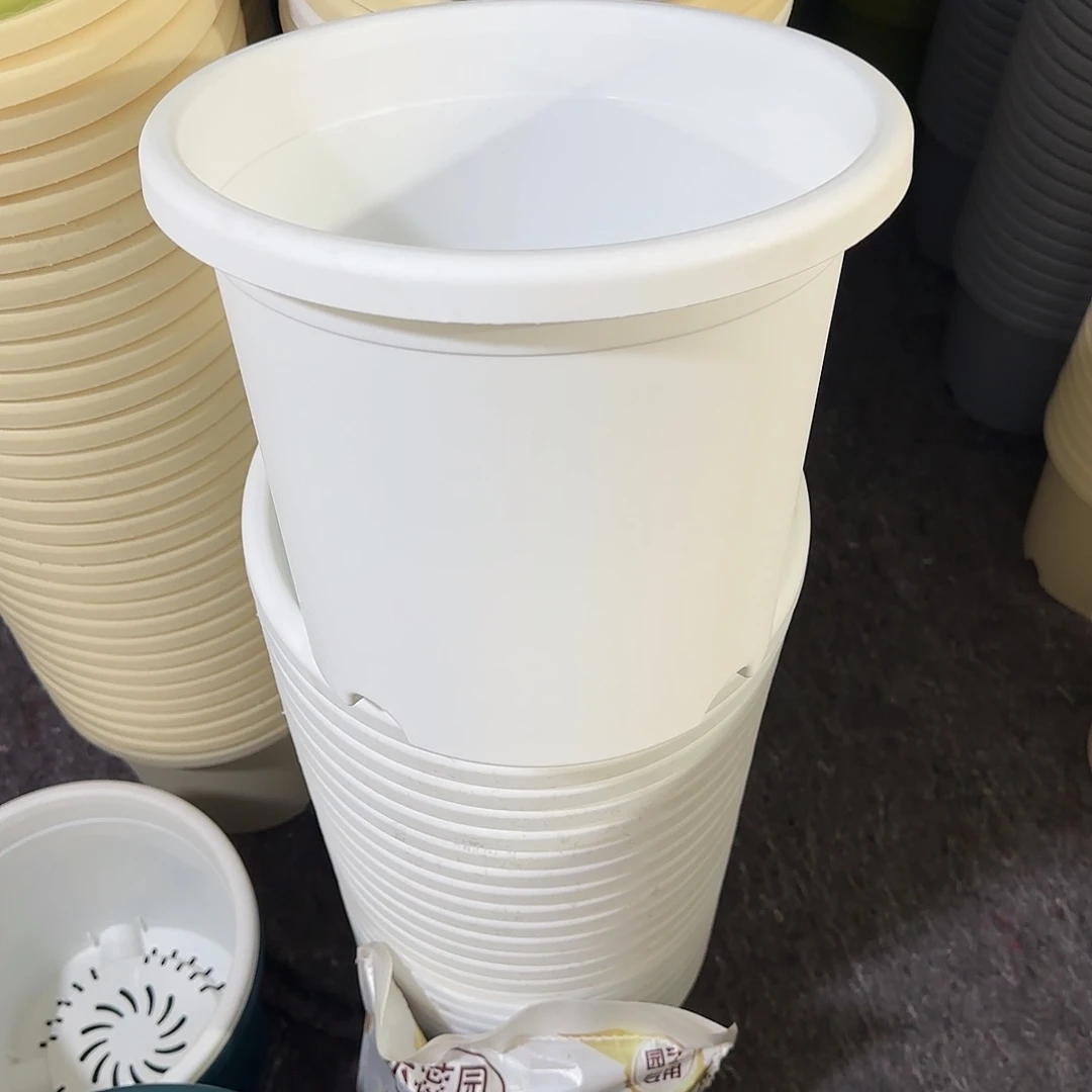 树脂简*微瑕5号6个无托，白色