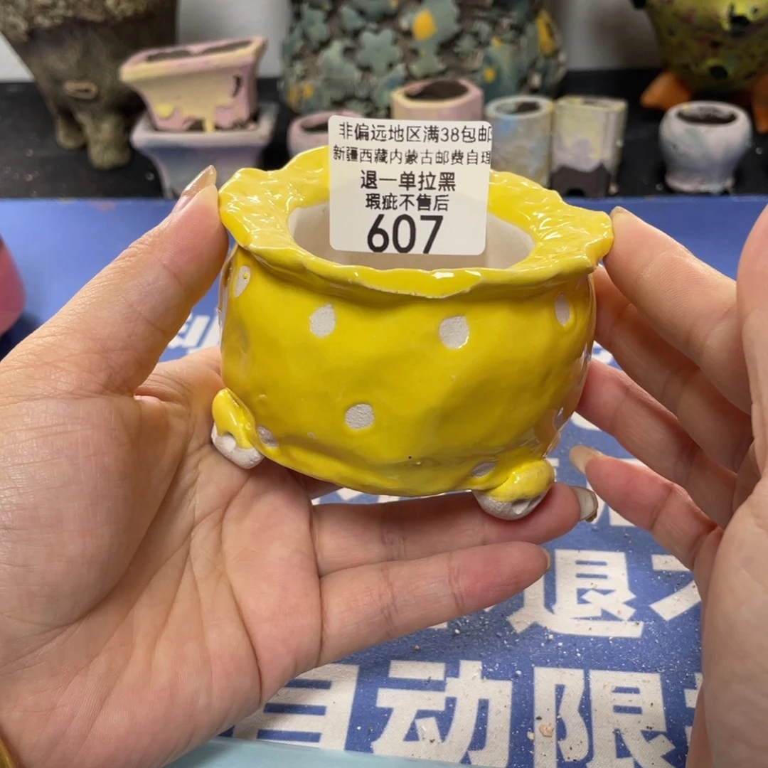 特价微瑕疵不退不换哦607