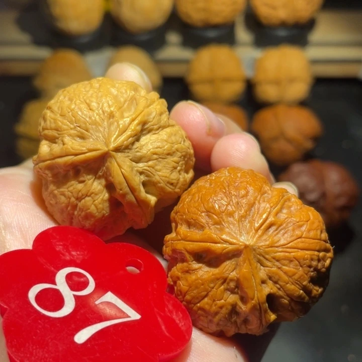 三棱34尺寸核桃。