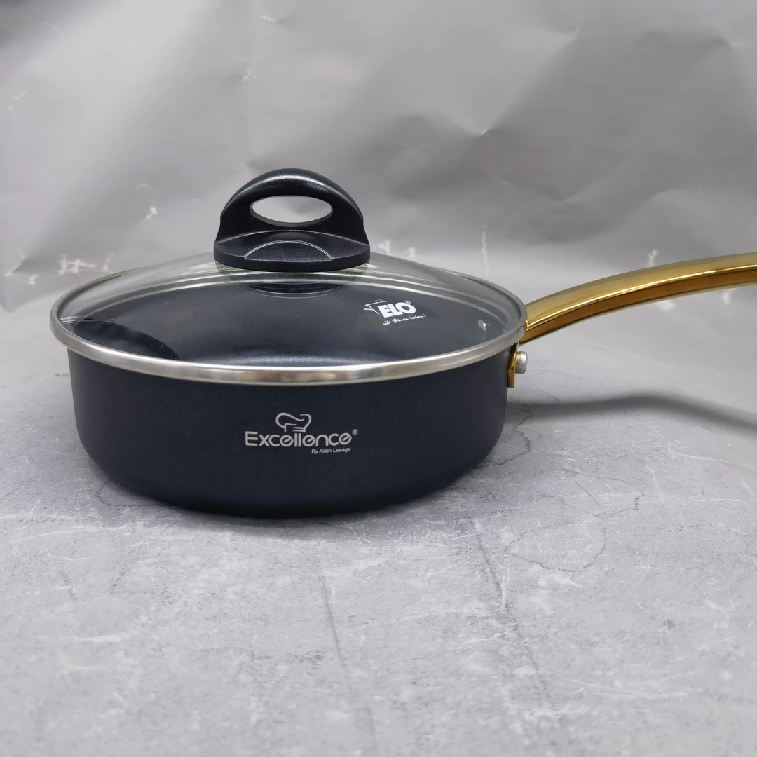 德国订单20CM煎锅威宝龙C2 4星涂层带盖