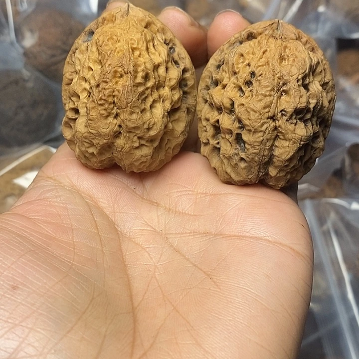 把件文玩核桃云南铁核桃27